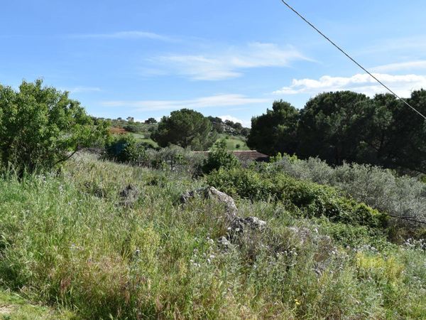 Terreno Bolognetta, PA Vendita - Foto 4