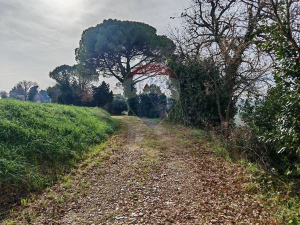 Cascina/Casale Recanati, MC Vendita