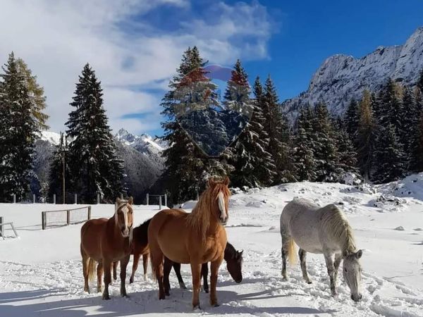 Appartamento Valleve, BG Vendita