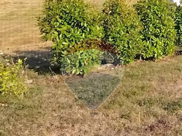 Terreno Edificabile Mioglia, SV Vendita - Foto 2