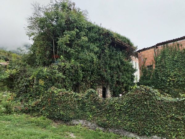 Porzione di casa Lasen, Feltre, BL Vendita - Foto 3