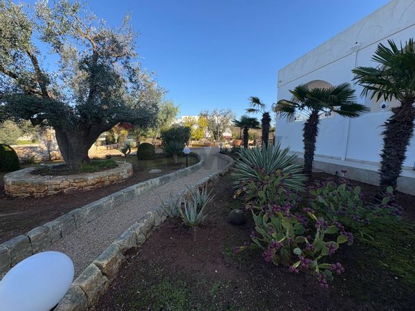 Villa singola Serranova, Carovigno, BR Vendita - Foto 3