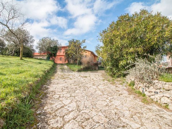 Casa Semindipendente Farnese, VT Vendita - Foto 3