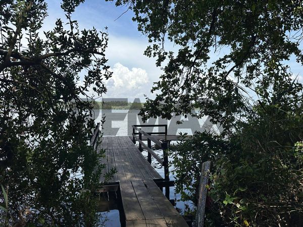 Villa o villino Lungomare, Sabaudia, LT Vendita - Foto 4