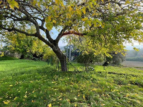 Casa Semindipendente Belvedere Ostrense, AN Vendita - Foto 4