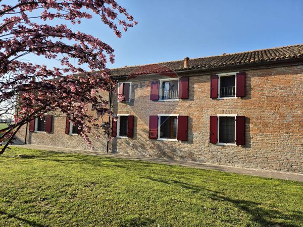 Attività  Commerciale Masi Torello, FE Vendita - Foto 3