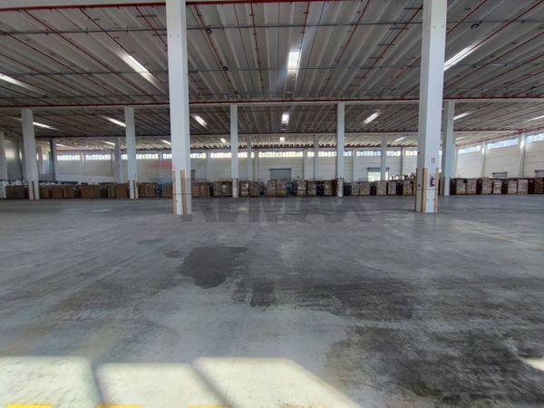 Capannone Industriale Nola, NA Affitto