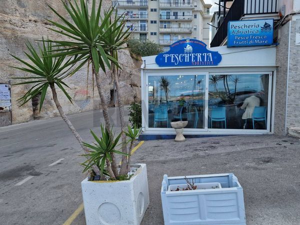 Ristorante Vieste, FG Vendita - Foto 2