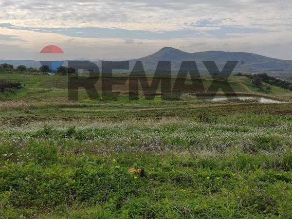 Terreno Centuripe, EN Vendita - Foto 2