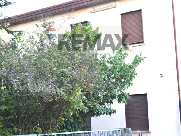 Casa Indipendente Cagnola, Cartura, PD Vendita - Foto 3