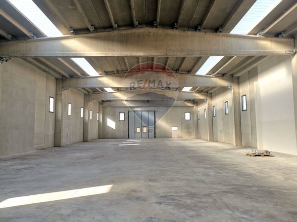 Capannone Industriale Zona Industriale, Bari, BA Vendita - Foto 3