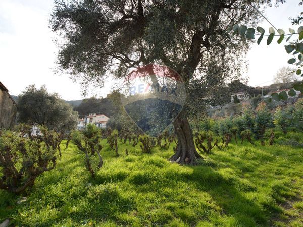 Rustico Magliolo, SV Vendita - Foto 2