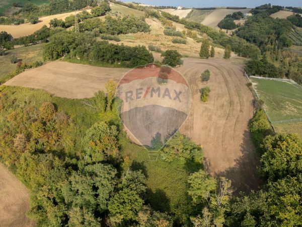 Terreno Terre Roveresche, PU Vendita - Foto 2