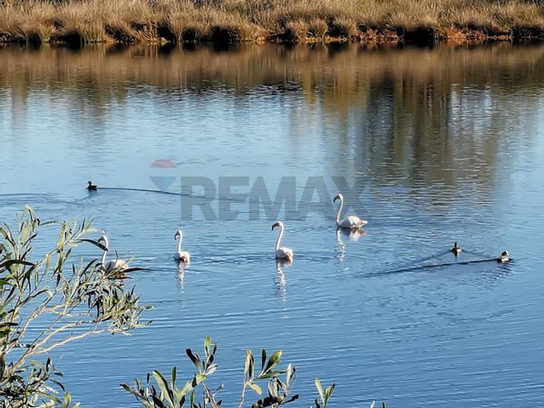 Attico/Mansarda Policoro, MT Vendita - Foto 4