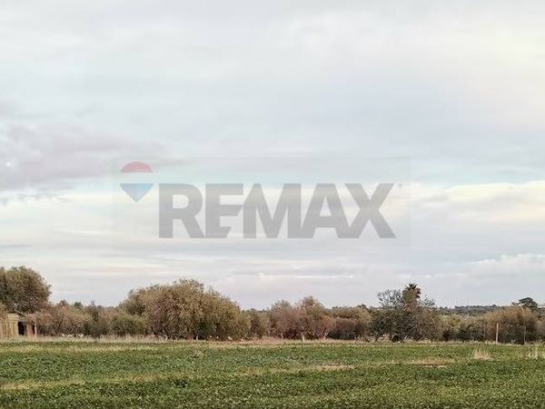 Terreno Sampieri, Scicli, RG Affitto - Foto 4