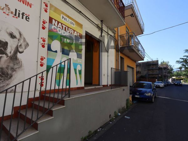 Commerciale Altro Giarre, CT Affitto