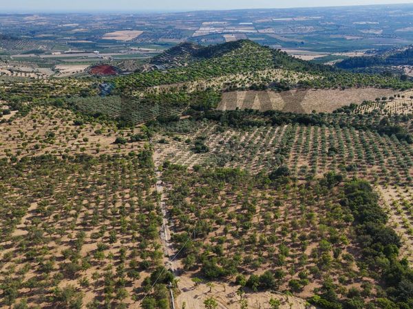 Cascina/Casale Noto, SR Vendita