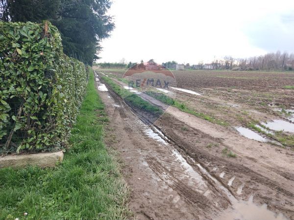 Terreno Vittuone, MI Vendita - Foto 2