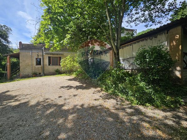 Cascina/Casale Sassetta, LI Vendita