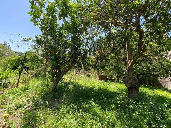 Casa Indipendente Gualtieri Sicaminò, ME Vendita - Foto 3
