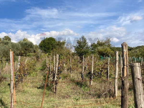 Cascina/Casale Felitto, SA Vendita
