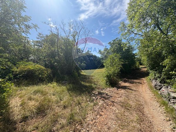 Terreno Sales, Sgonico, TS Vendita