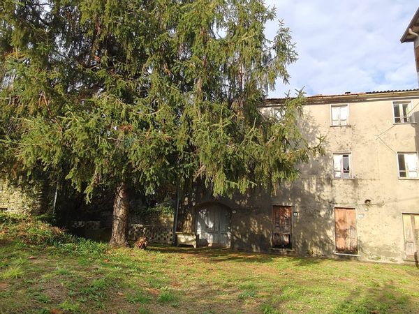Cascina/Casale Pozzi, Seravezza, LU Vendita - Foto 2