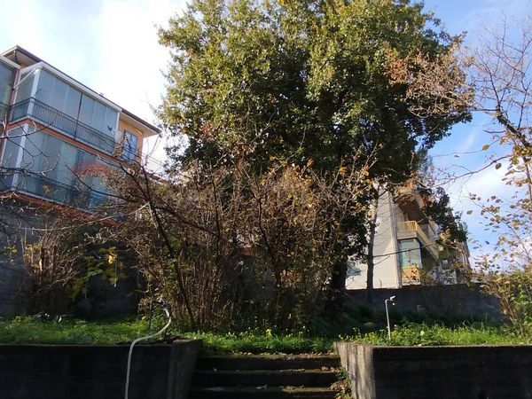 Altro Linguaglossa, CT Vendita - Foto 4