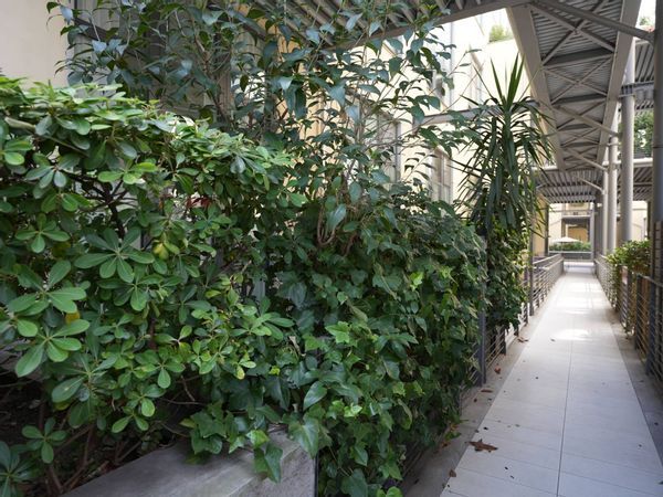 Loft/Open Space Ripamonti, Milano, MI Affitto - Foto 3