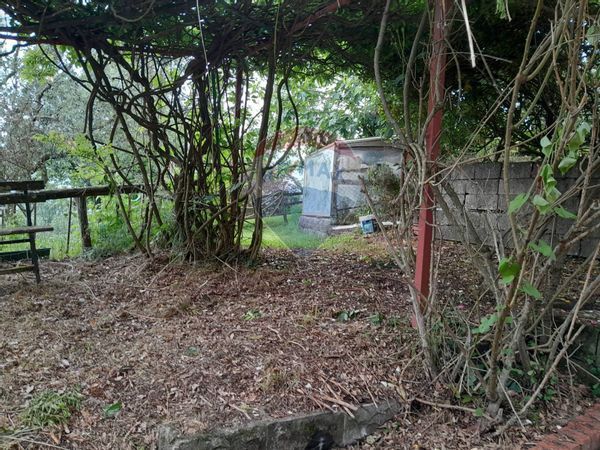 Porzione di casa Scurtabò, Varese Ligure, SP Vendita - Foto 4