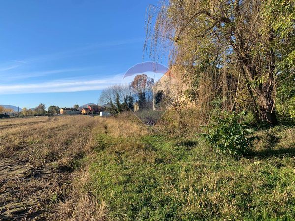 Rustico Mestrino, PD Vendita - Foto 4