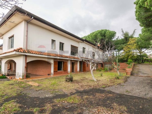 Villa singola Viagrande, CT Affitto - Foto 2