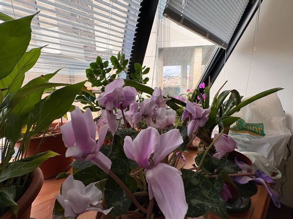 Ufficio Genova, GE Affitto