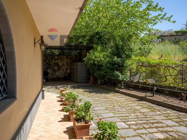 Villa singola Pedara, CT Affitto - Foto 4