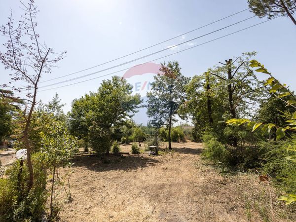 Casa Indipendente Velletri, RM Vendita - Foto 3