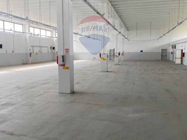 Capannone Industriale Tuglie, LE Vendita - Foto 3