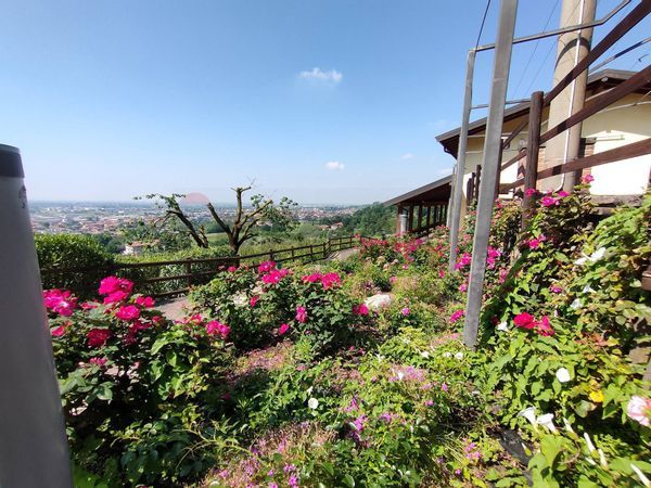 Azienda Agricola Tagliuno, Castelli Calepio, BG Vendita - Foto 2