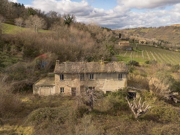 Cascina/Casale Rosora, AN Vendita - Foto 2