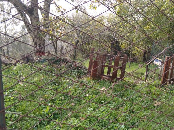 Casa Indipendente Sellano, PG Vendita - Foto 3