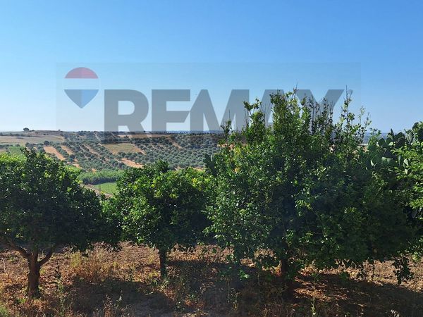 Cascina/Casale Noto, SR Vendita - Foto 2