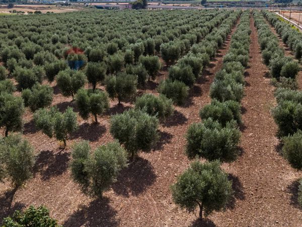 Terreno Tamburi, Taranto, TA Vendita - Foto 4