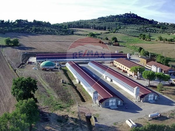 Azienda Agricola Agello, Magione, PG Vendita - Foto 2