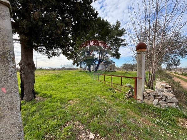 Rustico Turi, BA Vendita - Foto 2