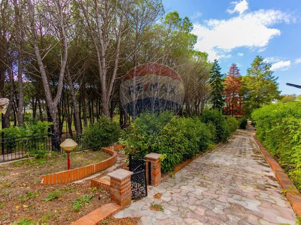 Villa singola Martina Franca, TA Vendita - Foto 4