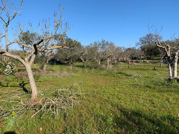 Baita/Chalet/Trullo Polignano a Mare, BA Vendita - Foto 3