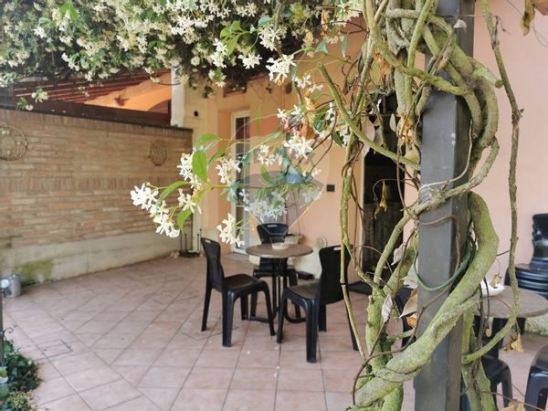 Casa Indipendente Buonacompra, Cento, FE Vendita - Foto 4