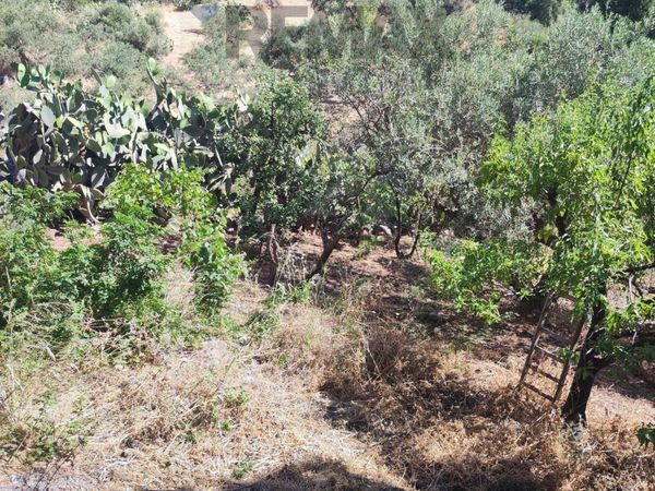 Villa o villino Misilmeri, PA Vendita - Foto 3