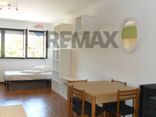 Appartamento Castagnè, Pergine Valsugana, TN Affitto - Foto 4