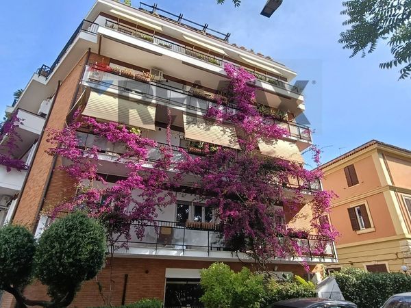 Appartamento Ponte Milvio, Roma, RM Affitto - Foto 2