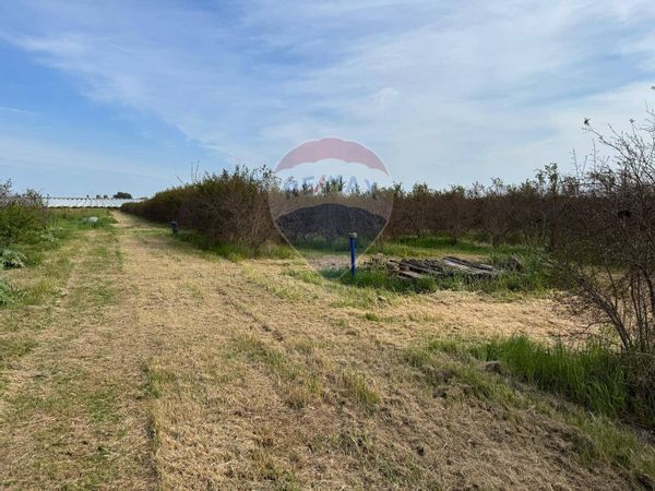 Terreno Metaponto, Bernalda, MT Vendita - Foto 3